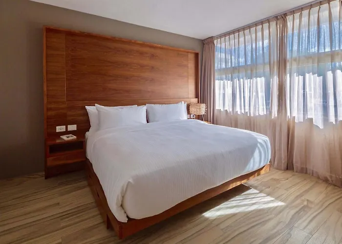 Hotel Newport House Playa Boutique